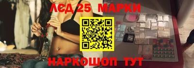 крисы Гусев