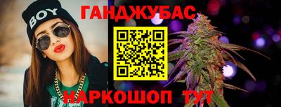 крисы Гусев