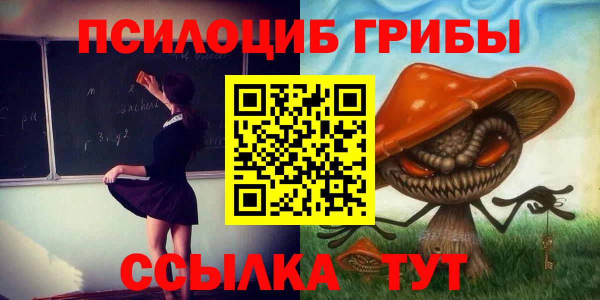 Псилоцибиновые грибы прущие грибы Карасук